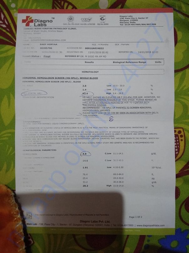 Thalassemia test report