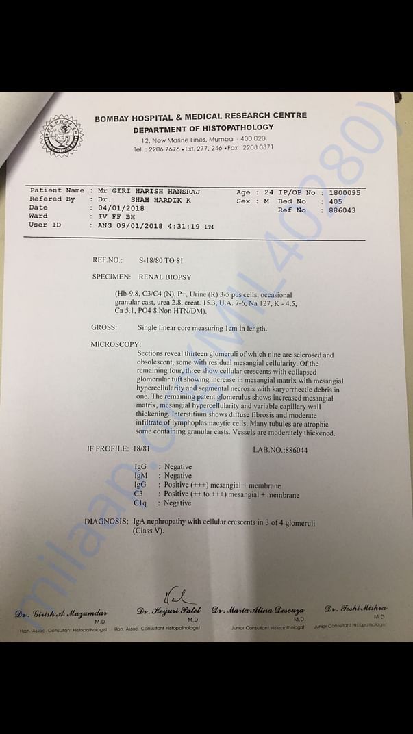 Kidney Biopsy report