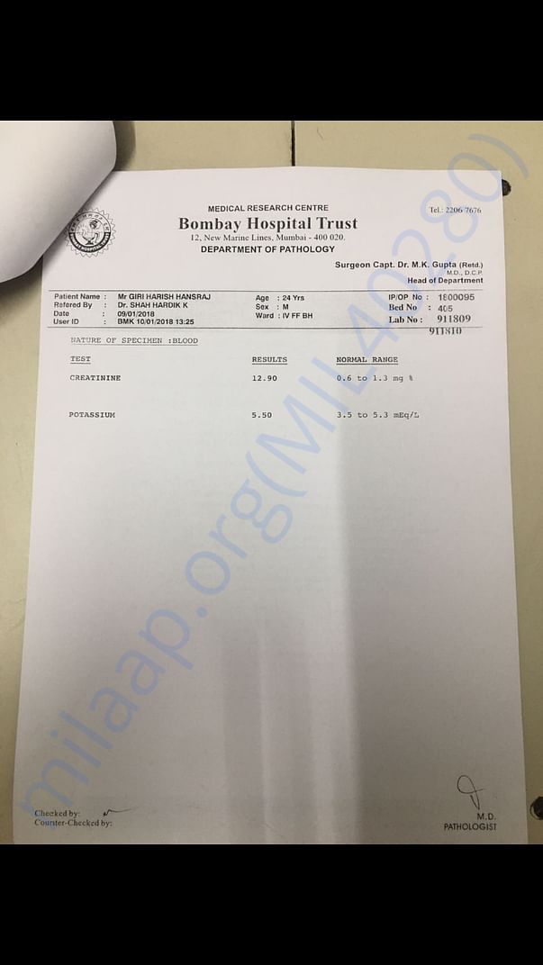Creatine test report
