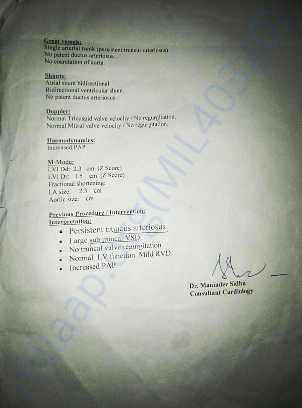 Supporting Documents
