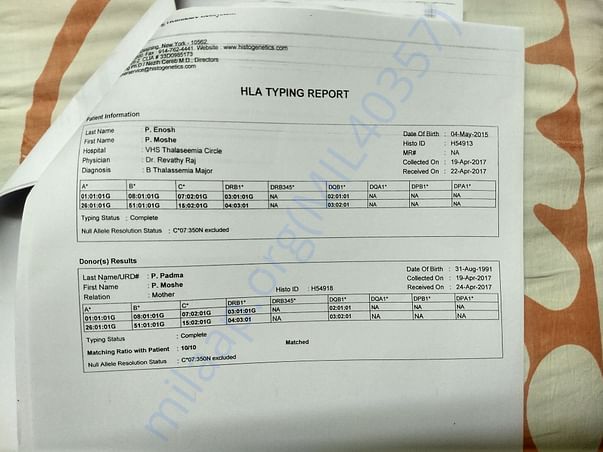 HLA matching report
