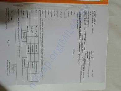 BC Report1