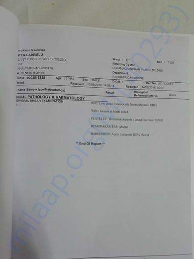 BC Report2