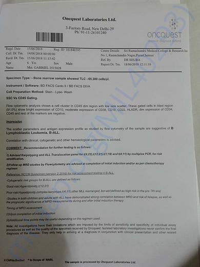 BC Report4