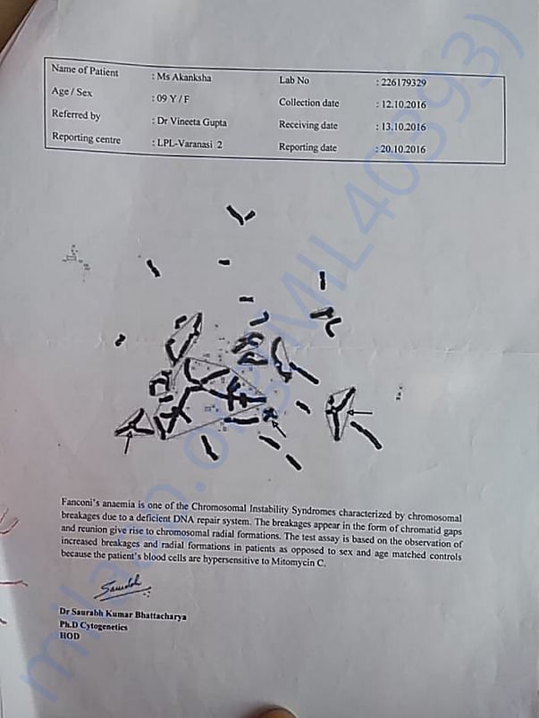 Test report 2