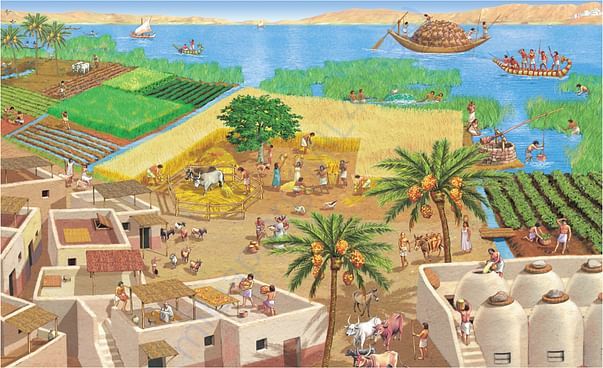 Detailed colourful illustrations like this are yet to be commissioned