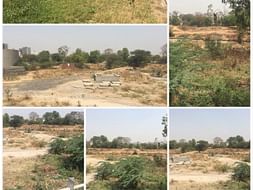 Support us to Develop Green Belt in Vasna Barrage on Sabarmati River