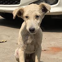 Kevin when he was rescued.