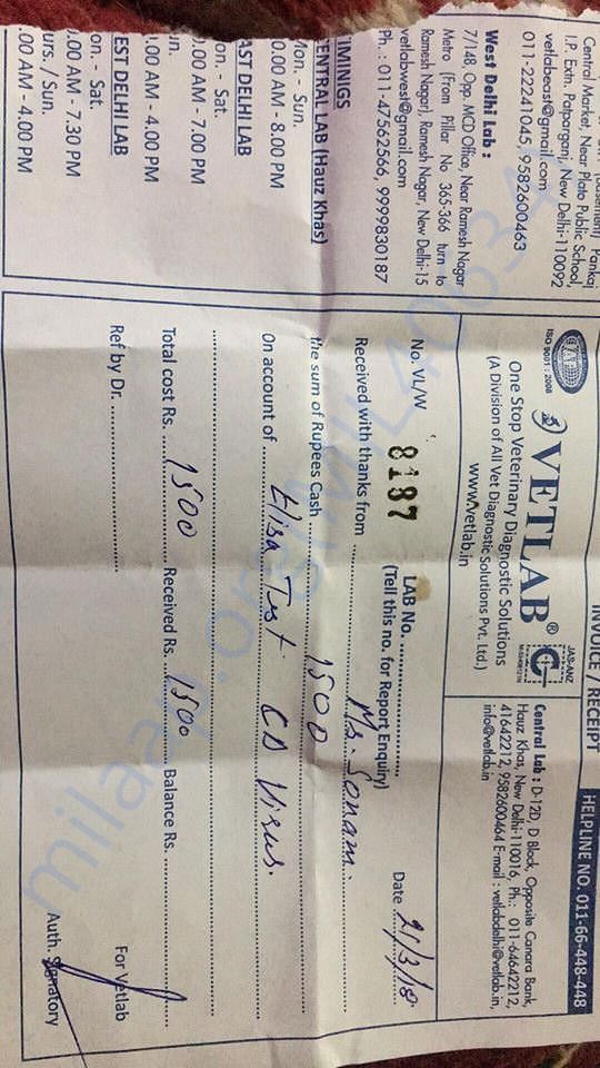 Receipt of Elisa test bill.