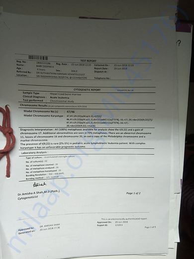 Test report