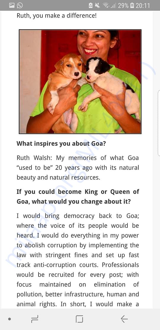 Newspaper article pg3