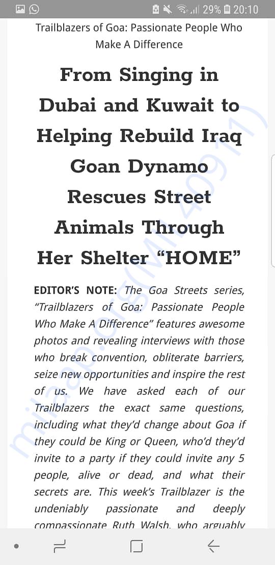 Newspaper article pg 20