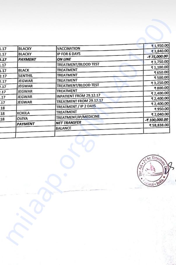 Vet bills - 4