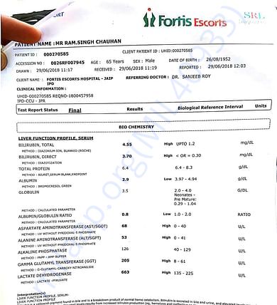 report of fortis