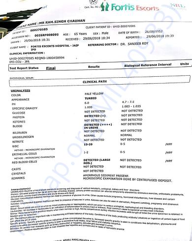 report of fortis