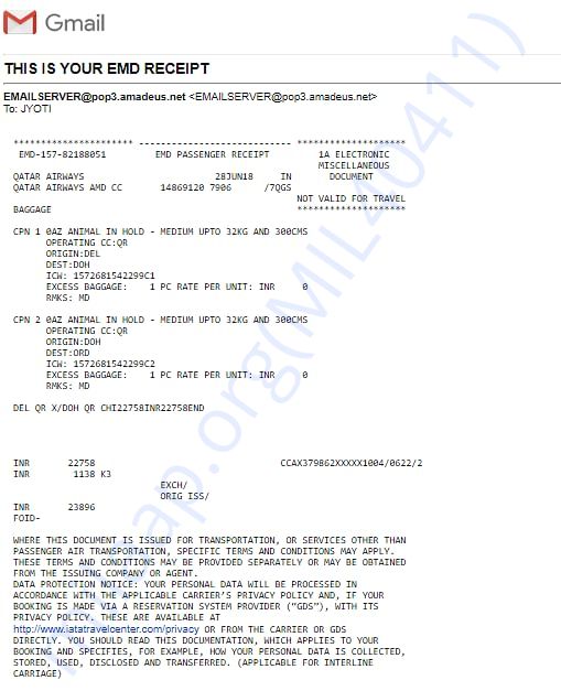 Dog Ticket Copy