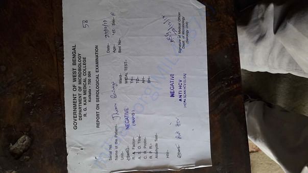 Report on Serological Examination