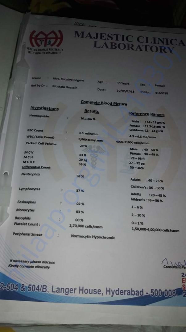 Report 6
