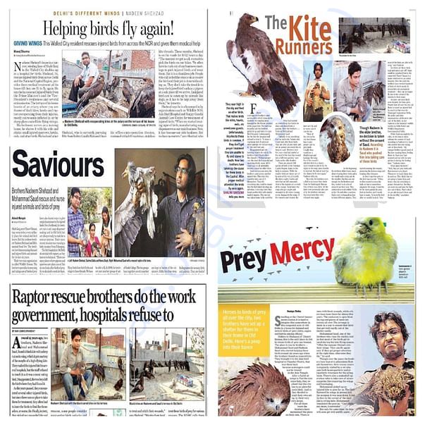 Wildlife Rescue's consistent work for bird welfare in the news!