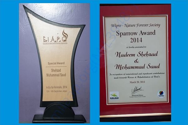 Awards