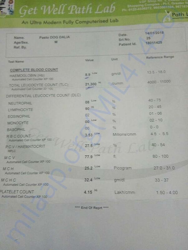Medical report of dahlia at the time of admitting her to smart sanctua