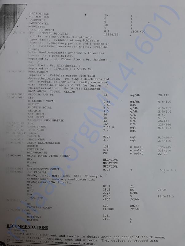 Report 2
