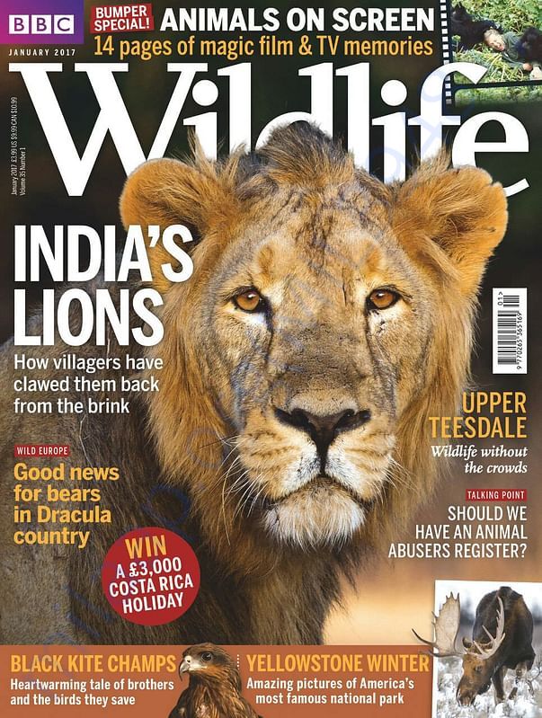 Our Work Covered in BBC Wildlife Magzine and is on Cover Page!