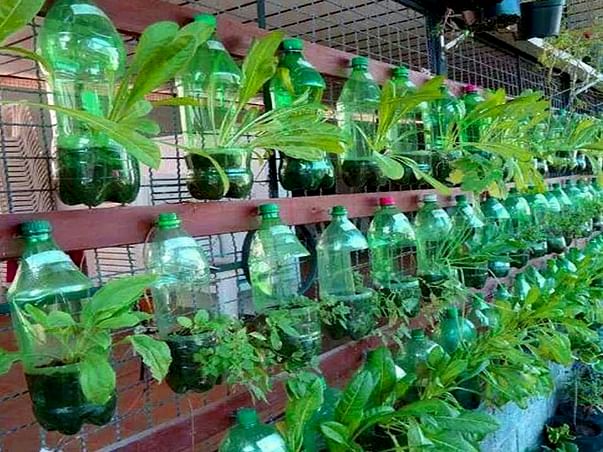 Help Shyam Building Eco-friendly Organic Vertical Garden