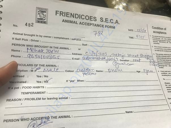 Recent bill regarding the operation of 2 of my dogs