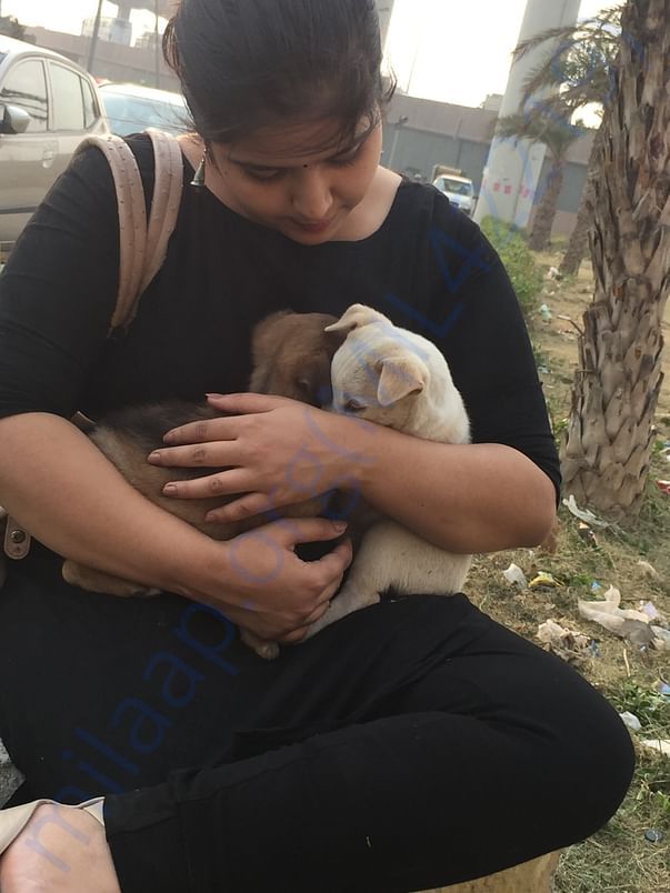 Rescued them after they were tied in a plastic bag and left to die