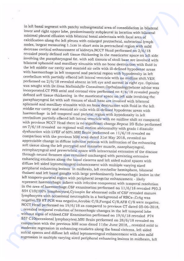 Copy of Summery-3