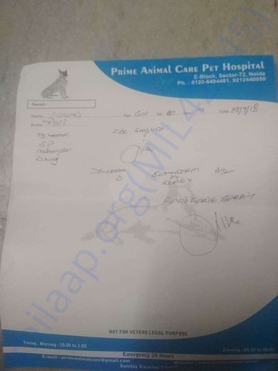 Prime Animal Care Prescription