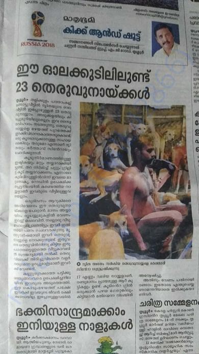 Article in newspaper about Sunitha and her rescues