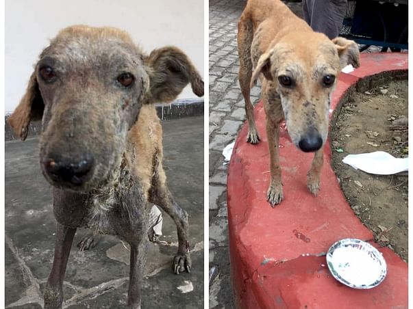 Only If We Help.. Shall They Be Saved.