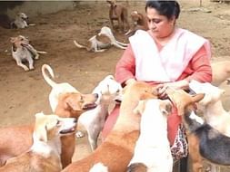 Support The Dog Lady of Delhi In Building an Animal Hospital.