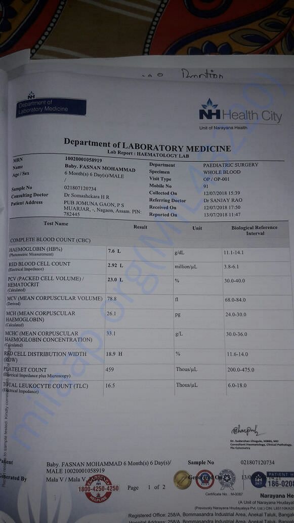 Banglore Narayana hospital report