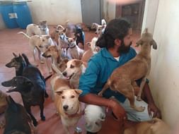 Help Kannan Krishnan for Integrated Animal Care Centre @ Auroville