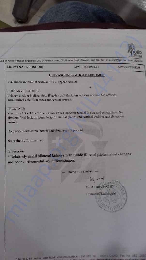 test report
