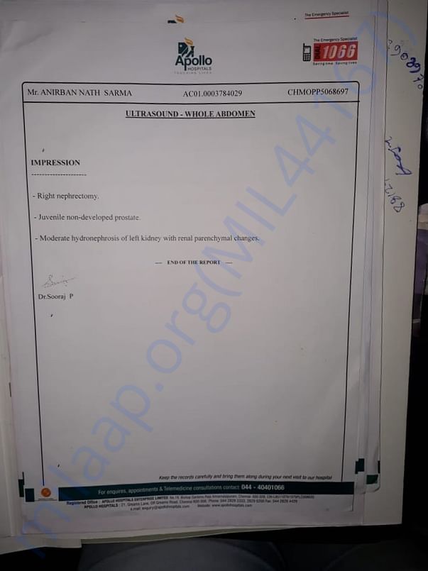 other reports