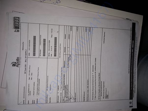 other reports