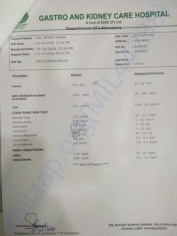 Liver function test