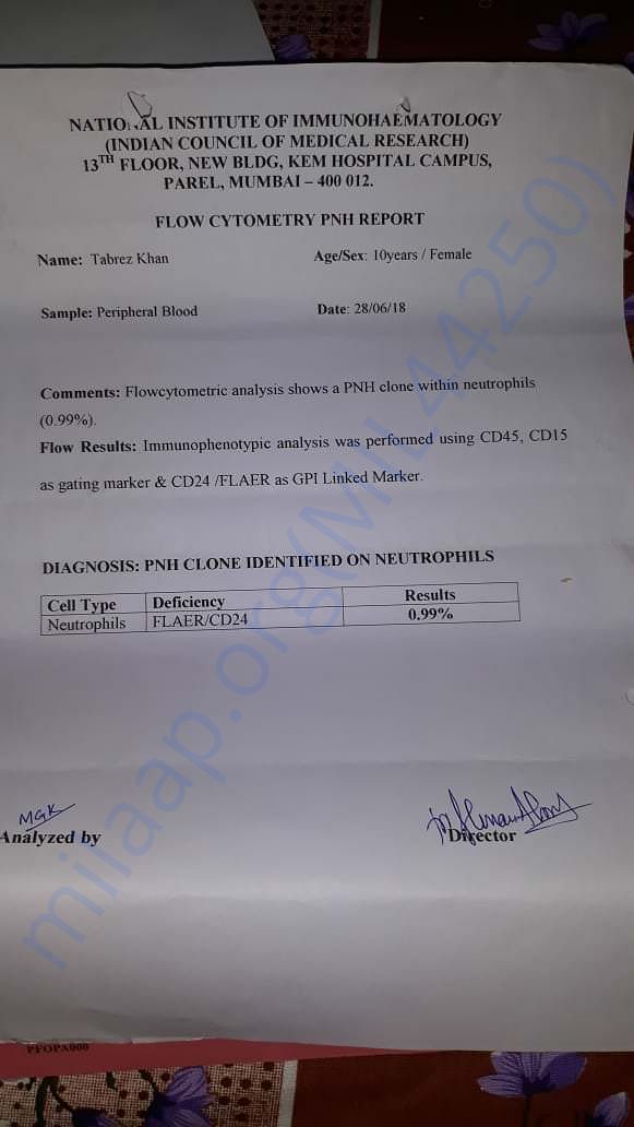 Flow cytometry PNH report