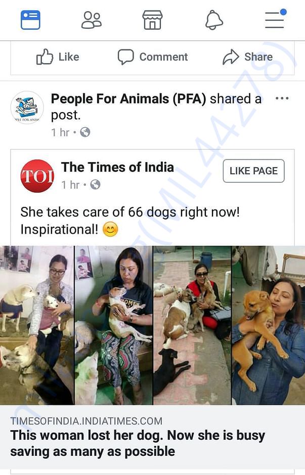 Times Of India Coverage