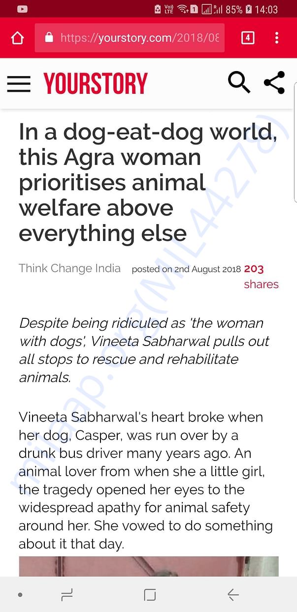 yourstory.com covers my journey in Animal Welfare.