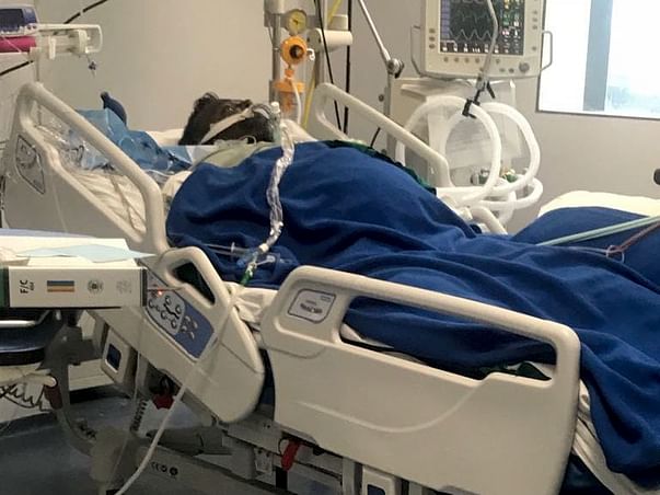 Help Keval Get A Liver Transplant.