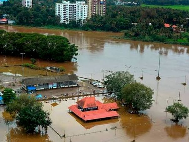 Let's Stand Strong for Kerala ! (for Suffering Animals and Humans)