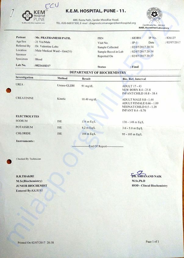 Blood reports