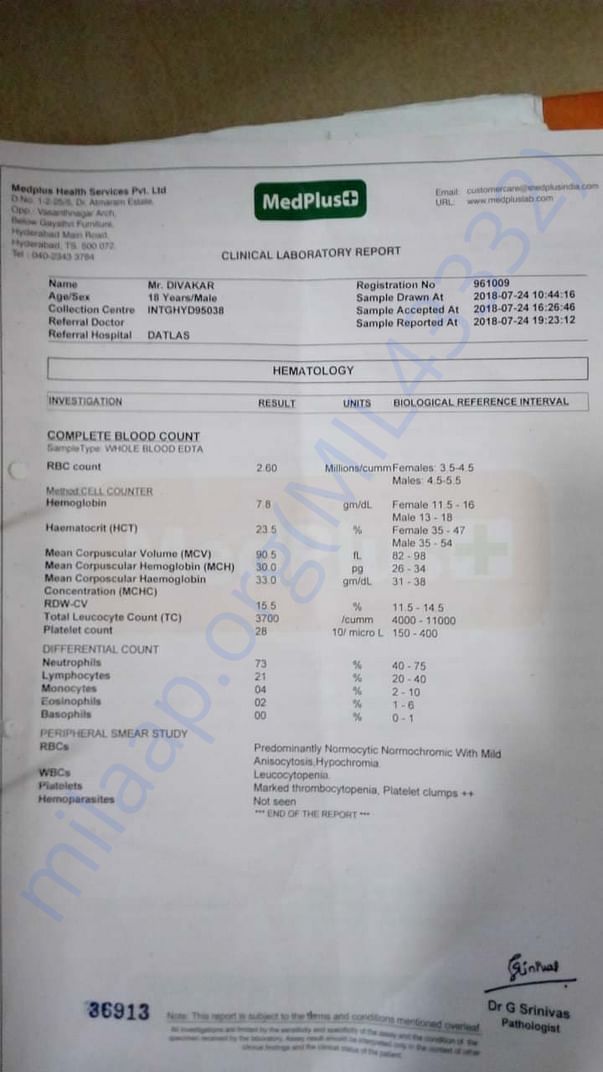 Doc 6