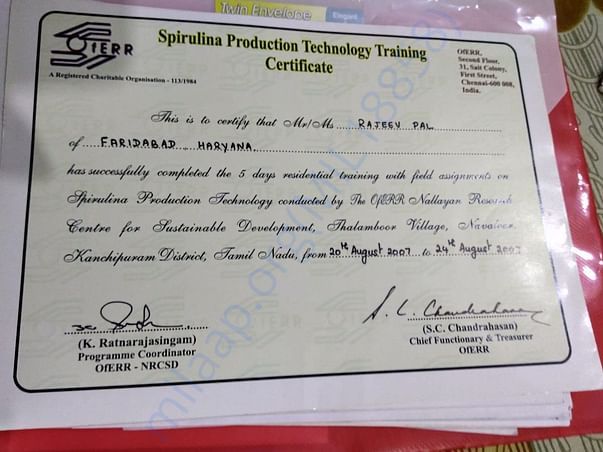Training Certificate in Spirulina cultivation