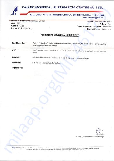 Test Report